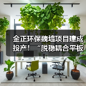 金正环保魏墙项目建成投产！“脱稳耦合平板膜工艺包” 为煤矿矿井水零排放处理提供新思路！（图2）