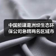 中国能建葛洲坝生态环保公司急聘两名区域市场部总经理(图2) 中国能建葛洲坝生态环保公司急聘两名区域市场部总经理(图2)