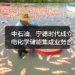 中石油、宁德时代成立电化学储能集成业务合资公司（图1）