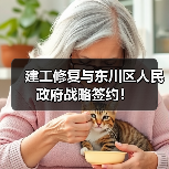 建工修复与东川区人民政府战略签约！（图2）