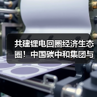 共建锂电回圈经济生态圈！中国碳中和集团与中国再生、中国铁塔达成战略合作（图4）
