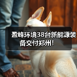 盈峰环境38台新能源装备交付郑州!(图3) 盈峰环境38台新能源装备交付郑州!(图3)