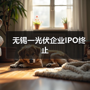无锡一光伏企业IPO终止(图4) 无锡一光伏企业IPO终止(图4)