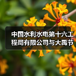 中国水利水电第十六工程局有限公司与大禹节水集团签署战略合作协议（图2）