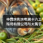 中国水利水电第十六工程局有限公司与大禹节水集团签署战略合作协议（图4）