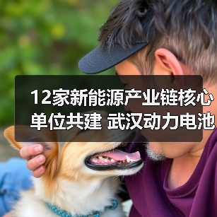 12家新能源产业链核心单位共建 武汉动力电池低碳循环产业创新联合实验室成立(图3) 12家新能源产业链核心单位共建 武汉动力电池低碳循环产业创新联合实验室成立(图3)