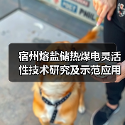 宿州熔盐储热煤电灵活性技术研究及示范应用项目全面投运！（图2）