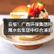 喜报！广西环保集团所属水务集团中标合浦县18座乡镇污水处理厂运维服务（1分标）项目（图2）