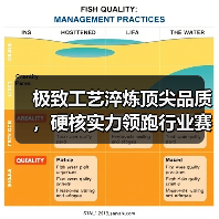 极致工艺淬炼顶尖品质，硬核实力领跑行业赛道——东方泵业海水泵应用于LNG液化天然气工程项目（图3）