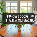 注册资本2000万！宁德时代联合国企成立新公司（图4）