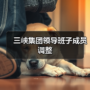 三峡集团领导班子成员调整（图4）