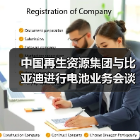中国再生资源集团与比亚迪进行电池业务会谈（图1）