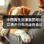 中国再生资源集团与比亚迪进行电池业务会谈（图4）
