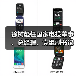 徐树彪任国家电投董事、总经理、党组副书记（图2）