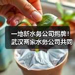 一地新水务公司揭牌！武汉两家水务公司共同组建（图2）