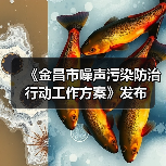 《金昌市噪声污染防治行动工作方案》发布（图3）