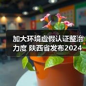 加大环境虚假认证整治力度 陕西省发布2024年认证认可与检验检测工作要点(图2) 加大环境虚假认证整治力度 陕西省发布2024年认证认可与检验检测工作要点(图2)