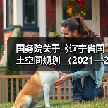 国务院关于《辽宁省国土空间规划 （2021—2035年）》的批复！（图4）