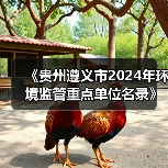 《贵州遵义市2024年环境监管重点单位名录》公布！（图4）