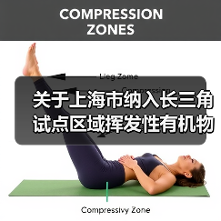 关于上海市纳入长三角试点区域挥发性有机物排污权有偿使用和交易管理办法（试行）（征求意见稿）（图4）