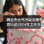 西安市大气污染治理专项行动2024年工作方案出炉!(图2) 西安市大气污染治理专项行动2024年工作方案出炉!(图2)