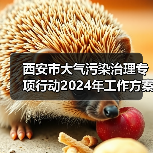 西安市大气污染治理专项行动2024年工作方案出炉! 西安市大气污染治理专项行动2024年工作方案出炉!