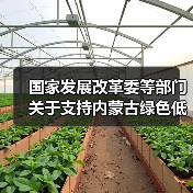 国家发展改革委等部门关于支持内蒙古绿色低碳高质量发展若干政策措施的通知 国家发展改革委等部门关于支持内蒙古绿色低碳高质量发展若干政策措施的通知