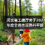 河北省工信厅关于2023年度全省水泥熟料平板玻璃生产线清单的公告(图4) 河北省工信厅关于2023年度全省水泥熟料平板玻璃生产线清单的公告(图4)