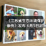 《江苏省生态环境保护条例》发布 6月5日起施行(图4) 《江苏省生态环境保护条例》发布 6月5日起施行(图4)