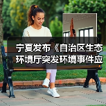 宁夏发布《自治区生态环境厅突发环境事件应急响应工作规程（试行）》（图3）