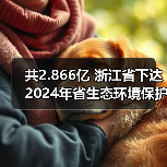 共2.866亿 浙江省下达2024年省生态环境保护专项资金（第二批）（图3）