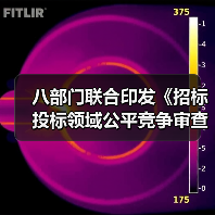 八部门联合印发《招标投标领域公平竞争审查规则》！自5月1日起施行（图3）