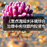 《重点流域水环境综合治理中央预算内投资专项管理办法》发布！（图4）