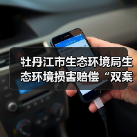 牡丹江市生态环境局生态环境损害赔偿“双案并处”实施意见（试行）（图3）