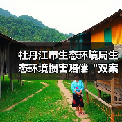 牡丹江市生态环境局生态环境损害赔偿“双案并处”实施意见（试行）（图2）