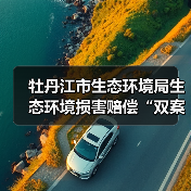牡丹江市生态环境局生态环境损害赔偿“双案并处”实施意见（试行）（图1）