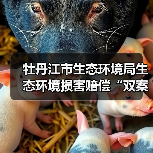 牡丹江市生态环境局生态环境损害赔偿“双案并处”实施意见（试行）（图4）