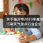 关于临沂市2023年度重污染天气重点行业企业绩效分级评估结果的公示（图3）