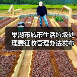 巢湖市城市生活垃圾处理费征收管理办法发布！（图1）