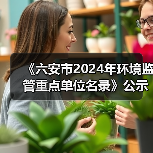 《六安市2024年环境监管重点单位名录》公示（图3）