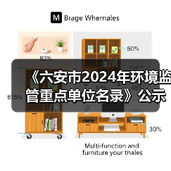 《六安市2024年环境监管重点单位名录》公示（图4）