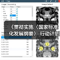 《贯彻实施〈国家标准化发展纲要〉 行动计划（2024—2025年）》（图3）