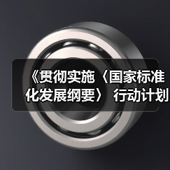《贯彻实施〈国家标准化发展纲要〉 行动计划（2024—2025年）》（图2）