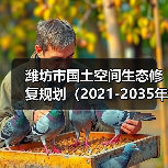 潍坊市国土空间生态修复规划（2021-2035年）（图3）