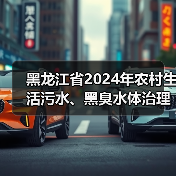 黑龙江省2024年农村生活污水、黑臭水体治理工作方案（图4）