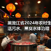 黑龙江省2024年农村生活污水、黑臭水体治理工作方案（图3）