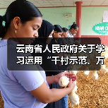 云南省人民政府关于学习运用“千村示范、万村整治”工程经验有力有效推进乡村全面振兴的实施意见（图3）