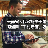 云南省人民政府关于学习运用“千村示范、万村整治”工程经验有力有效推进乡村全面振兴的实施意见（图4）