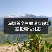 深圳首个气候适应规划：建设韧性城市（图1）