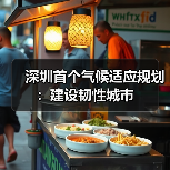 深圳首个气候适应规划：建设韧性城市（图2）